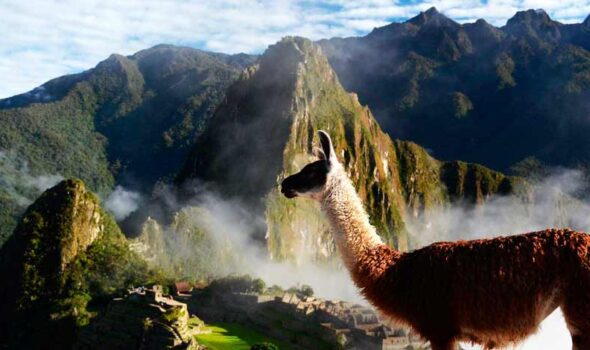 10 Machu Picchu facts you must know in 2022