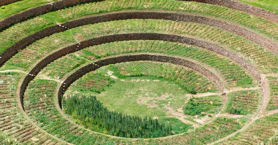 Moray agricultural terraces