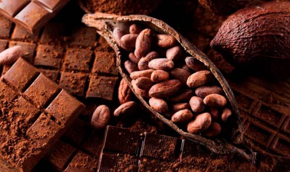 Peruvian Chocolate: The Ultimate Cacao guide