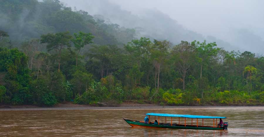 Peru destinations, Madre de Dios, Auri Peru