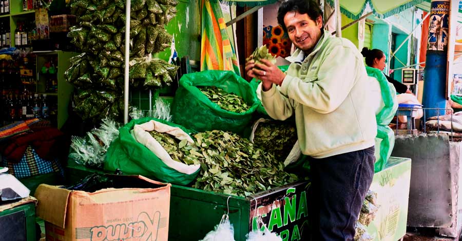 buying coca leaves 