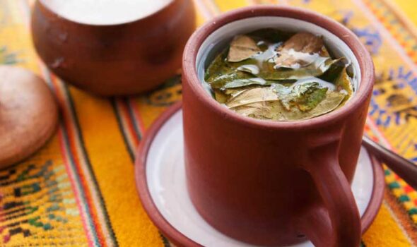 Why does coca tea help fight altitude sickness?