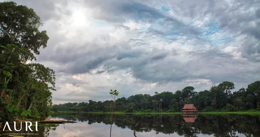 Amazon rainforest Auri Peru