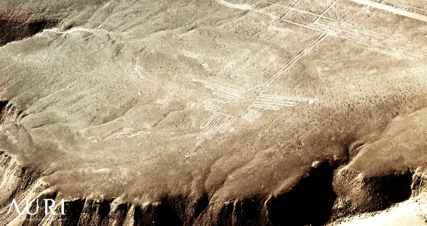 Nasca lines, humingbird in Ica