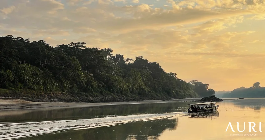 Sunset in Tambopata jungle Auri Peru