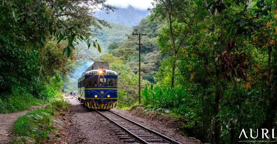 Vistadome train to Machu Picchu near to Aguas Calientes