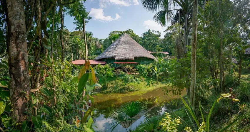 Ayahuasca Retreats Centre in Peru location and setting