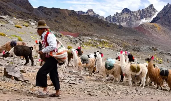 Discover The Best Trekking Adventures In Peru: A Comprehensive Guide