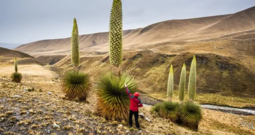 best time to visit ayacucho