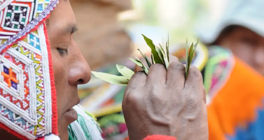 peru-coca-leaf-inca-time