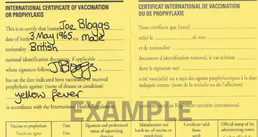 vaccination certificate