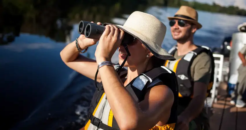 Birdwatching for beginners birdwatching in peru