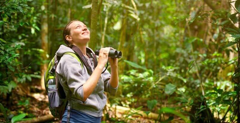 bird watching iquitos peru e1563407052487