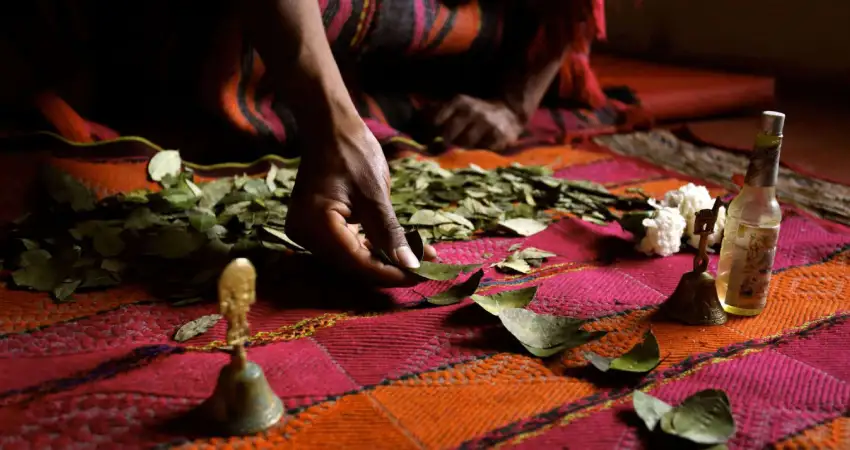 cusco city tour coca leaf reading