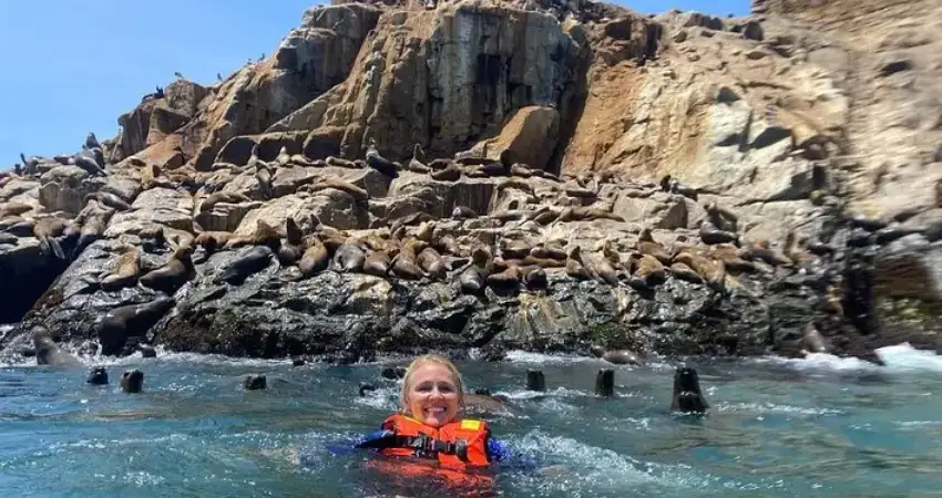 palomino island guest with sea lions