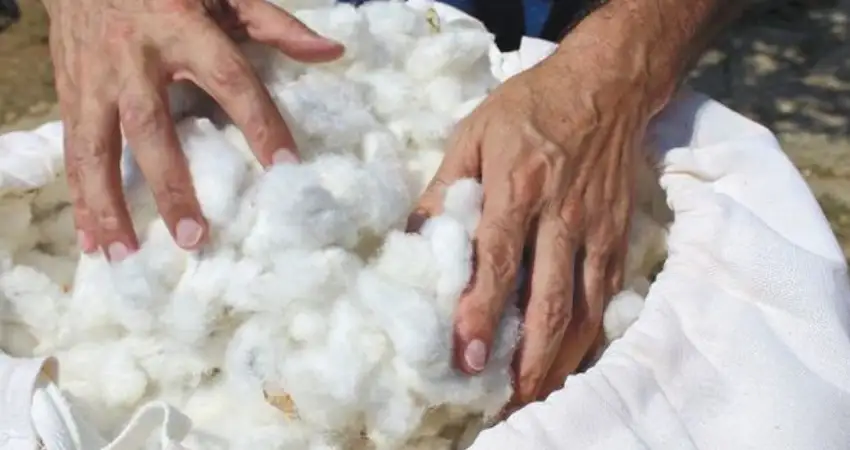 peruvian textiles cotton