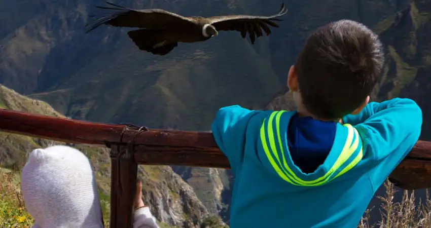 colca canyon peru