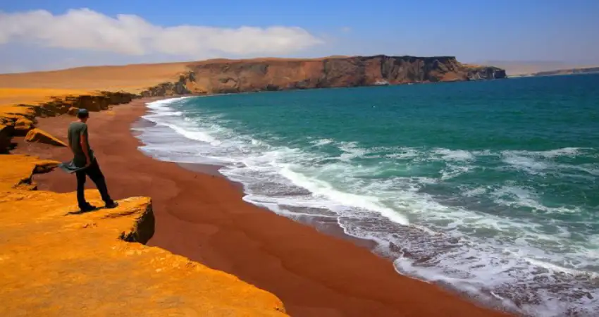 paracas national reserve