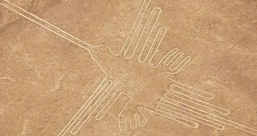 nazca lines map colibri