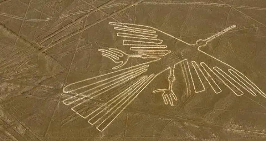 nazca lines map condor