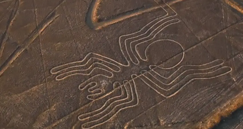 nazca lines map spider