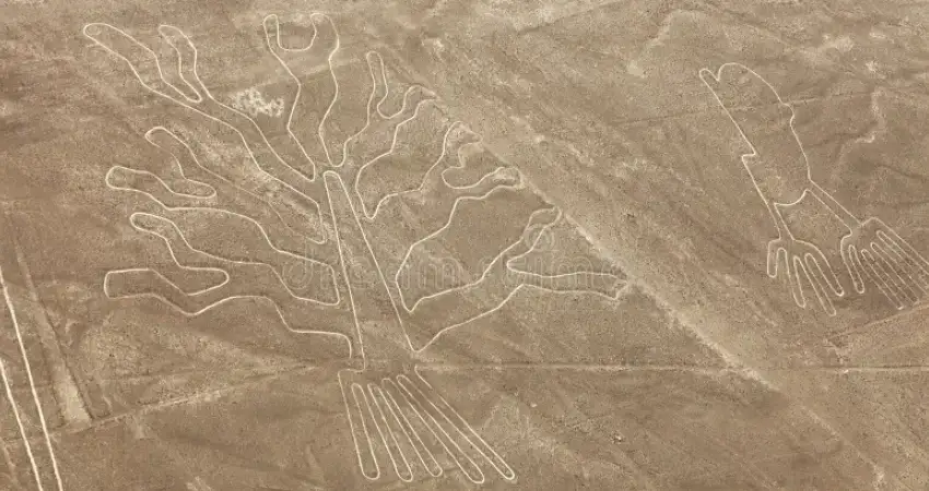 nazca lines map tree