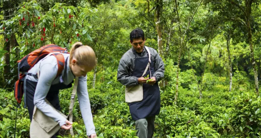 inkaterra machupicchu pueblo hotel activities