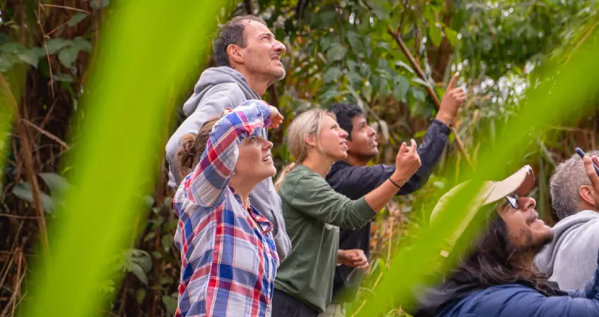 Machu Picchu and the Amazon flora