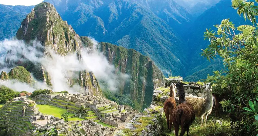 Machu Picchu and Amazon Tours 