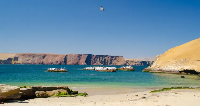 best hotels in paracas peru FAQs