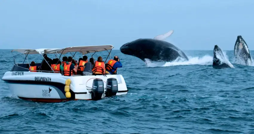 luxury trip peru the peruvian coast