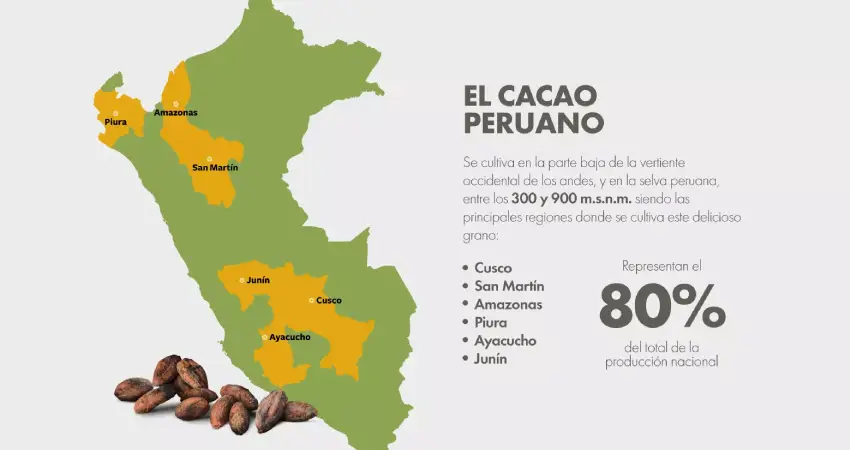 Peru cacao beans regions for cacao production