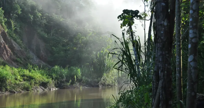 traveling to peru in march amazon