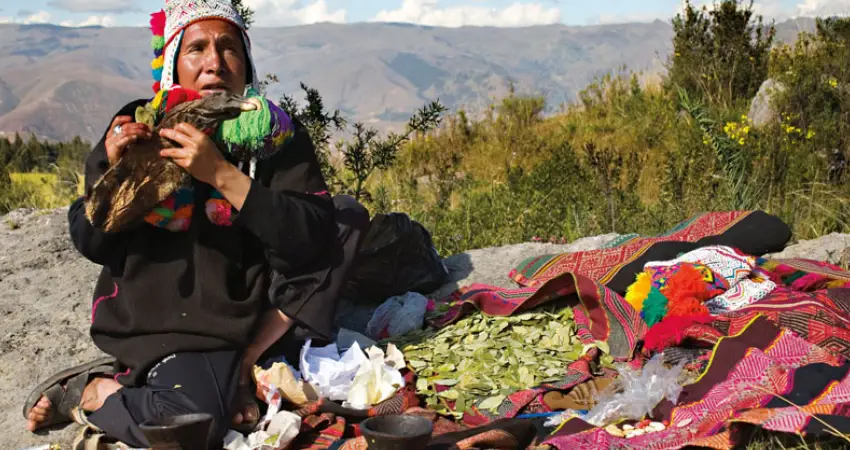 shamans in peru FAQs