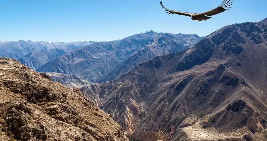 why visit peru colca canyon