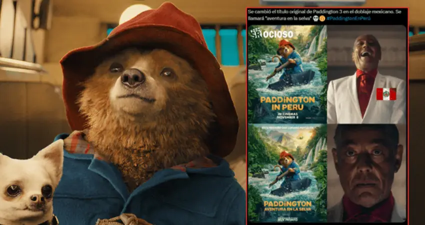 paddington in peru popularity