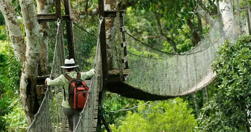 peruvian amazon tours from cusco tambopata national reserve