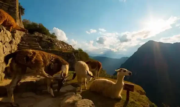 Weather at Machu Picchu in October