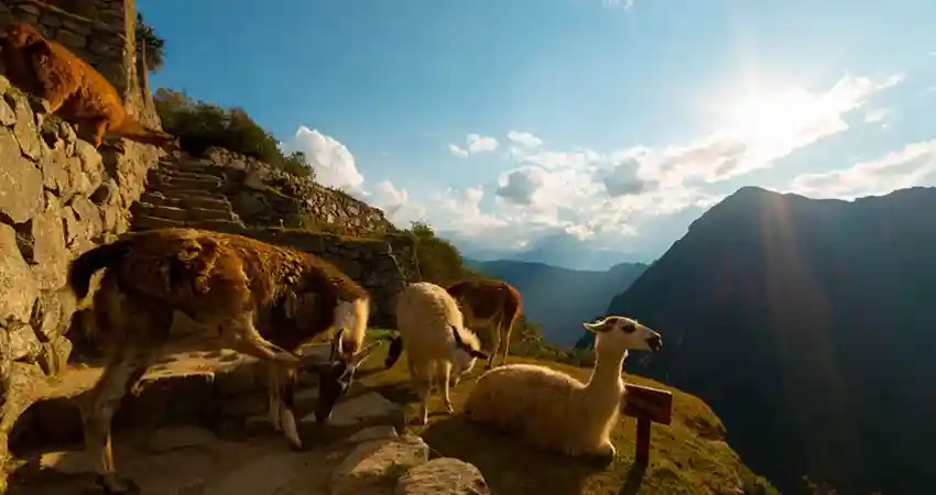 Weather at Machu Picchu in October