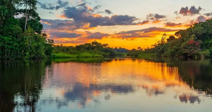 Breathtaking sunset over the Amazon rainforest, showcasing vibrant colors and lush greenery typical of Peru in July.