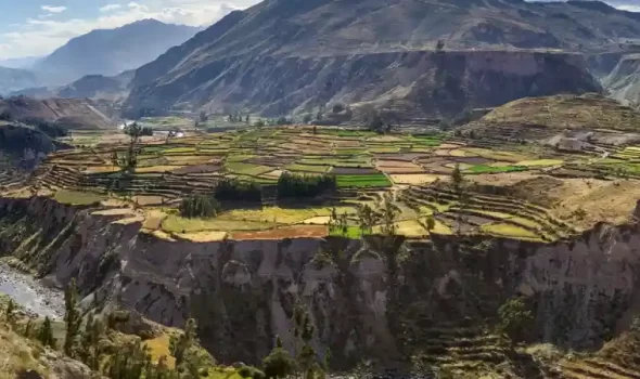 Colca Canyon Altitude: The Complete Guide For Travelers