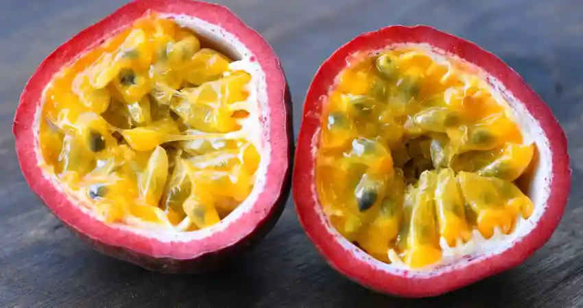 fruits of peru coastal region