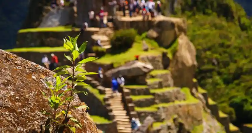 Weather at Machu Picchu in August