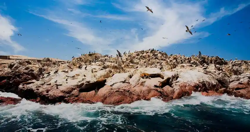 weather in peru in november coastal