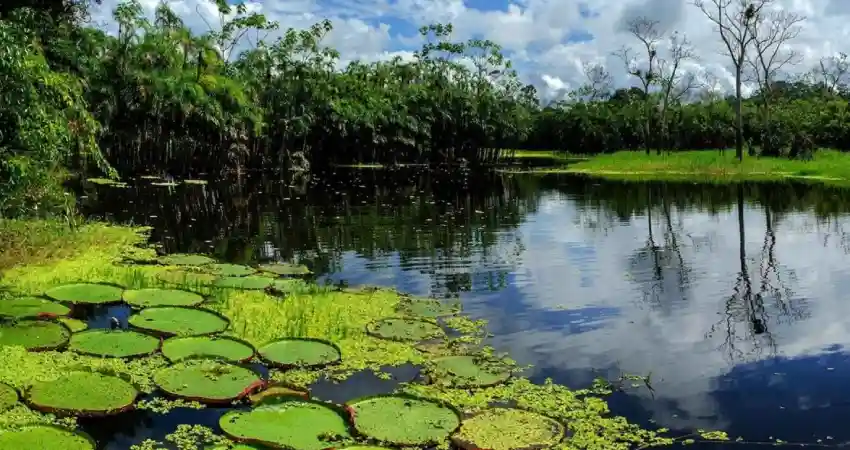 weather in peru in november jungle